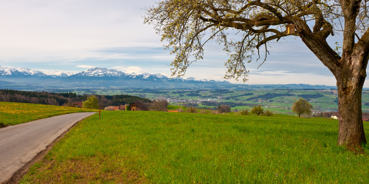 The Ultimate Guide : Rural Living in Alberta